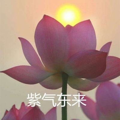 闪耀的力量官方中文版下载